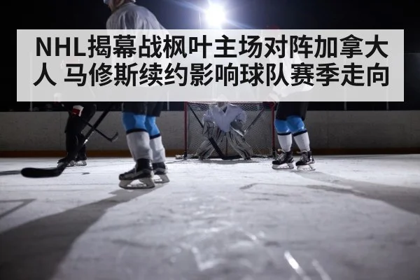 ice hockey rink night lights